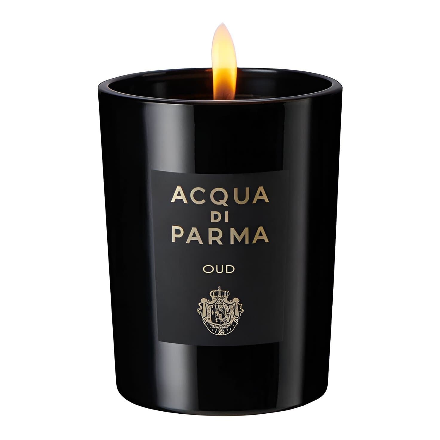 Acqua di Parma-Oud-Eau de Parfum-100ml